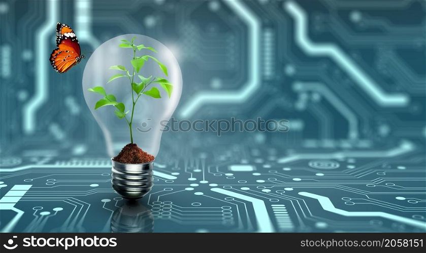 Plant growing inside the light bulb with butterfly. Nature ecology, Growth, Think green, Power saving, Innovation, Green ecology energy, and Saving environment Concept.