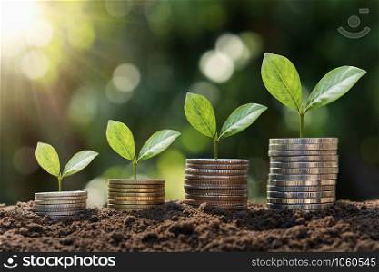 plant growing step on coins. concept finance and accounting