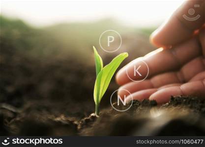 plant growing with hand and digital mineral icon. agriculture concept