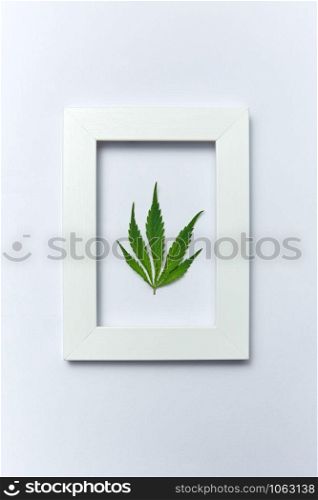 Plant handmade rectangular frame with natural green marijuana leaf on a light grey background, copy space. Concept use of cannabis for medical puposes. Flat lay.. Green cannabis leaf in a rectangular frame on a light grey background.