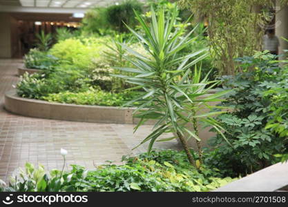 Plant in a subway