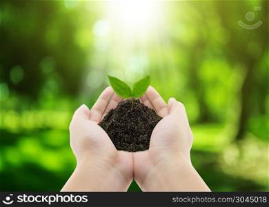 plant in hands - grass background, environment concept