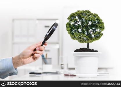 Plant in pot. Close up of human hand examining plant in pot with magnifier