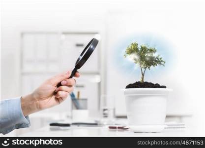 Plant in pot. Close up of human hand examining plant in pot with magnifier
