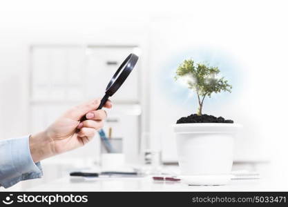 Plant in pot. Close up of human hand examining plant in pot with magnifier