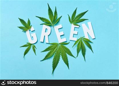Plant pattern with leaf of cannabis and white paper letters Green on a light blue background.. White paper word Green with marijuana leaves on a pastel blue background.