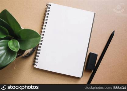 plant pencil near notebook . Resolution and high quality beautiful photo. plant pencil near notebook . High quality and resolution beautiful photo concept