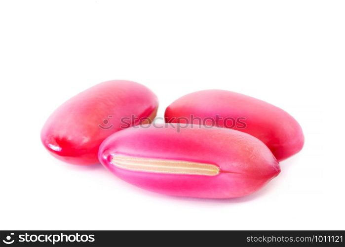 Plant seeds large pink isolated on white background.