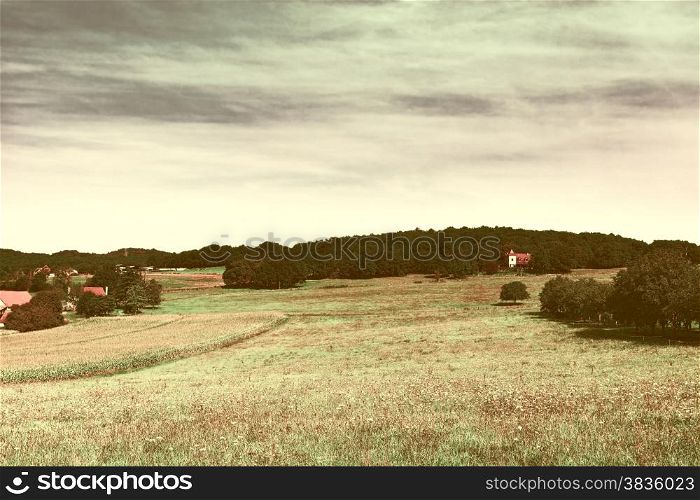 Plantation of Corn in the French Limousen at Sunset, Vintage Style Toned Picture