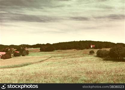 Plantation of Corn in the French Limousen at Sunset, Vintage Style Toned Picture