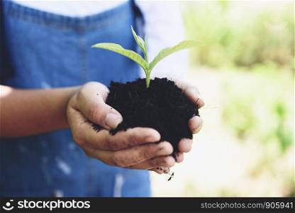 planting a tree seedlings young plant are growing on soil in pot holding by hand woman help the environment / Save environment green world ecology concept