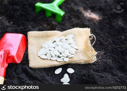 Planting pumpkin seed on soil in the vegetable garden agriculture / Gardening works concept , selective focus