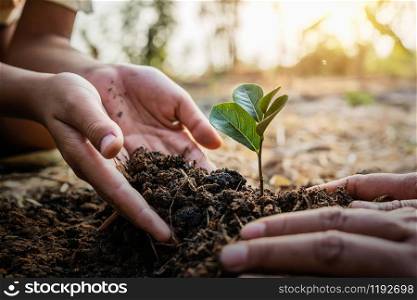 planting tree in garden. concept save world green earth
