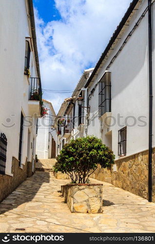 Plantpots with bushes in narrow street in Benaocaz, Spain