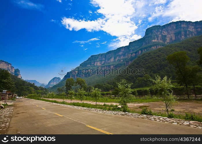 Plants along a road, Taihang Grand Canyon, Henan Province, China