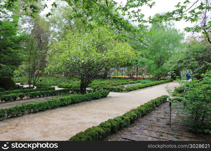 Plants and details from Madrid Botanic Garden . Botanical garden in Madrid, Real Jardin Botanico. Spain