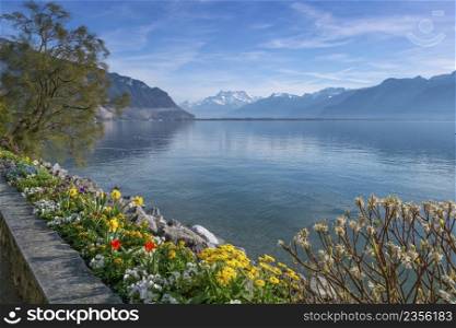 Plants and flowers next to Geneva Leman lake at Montreux by beautiful day, Switzerland. Plants and flowers next to Geneva Leman lake at Montreux, Switzerland