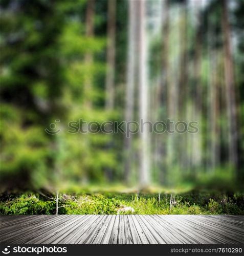 Plants and trees background. Summer forest jungle. Plants and trees background