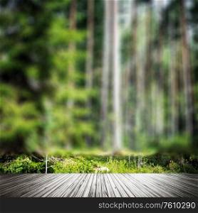 Plants and trees background. Summer forest jungle. Plants and trees background