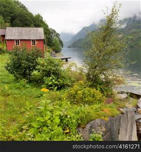 Plants at the riverside with a mountain range in the background, Hardangervidda, Hardanger, Norway