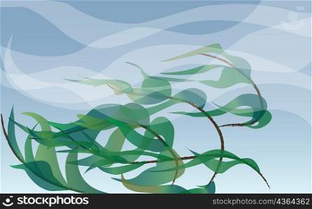 Plants blowing in the wind