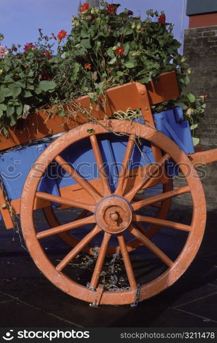 Plants in a flower wagon, Clones County Monaghan, Republic of Ireland