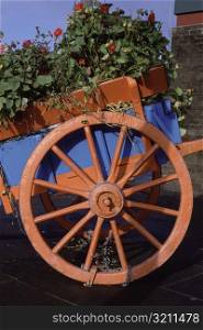 Plants in a flower wagon, Clones County Monaghan, Republic of Ireland