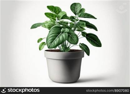 Plants in beautiful ceramic pot, Variety of species to use as decoration. Isolated on a white background. Generative AI