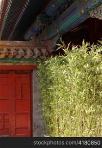 Plants in front of a building, Imperial Garden, Forbidden City, Beijing, China