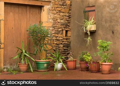 Plants in Pots in Walled Corner