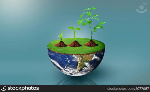 Plants of different sizes on half sphere of planet earth with green grass on. Environmental stewardship, World Environment Day, and Saving environment Concept. Image furnished by NASA.