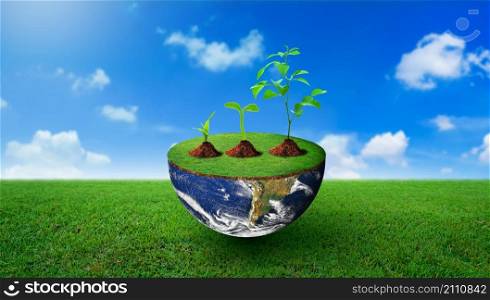 Plants of different sizes on half sphere with green grass on. Nature and Blue sky Background. Environmental stewardship, World Environment Day, and Saving environment Concept. Image furnished by NASA.