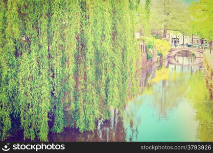 Plants on the Embankment of the Canal in the Dutch City of Amersfoort, Retro Effect