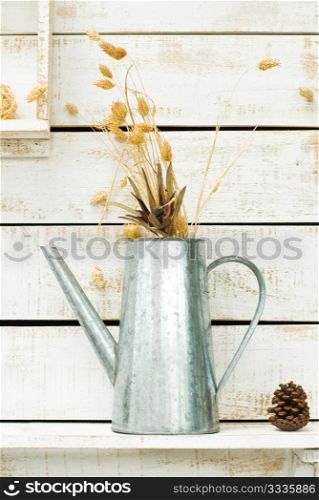 Plants on white rough wooden wall as Decoration