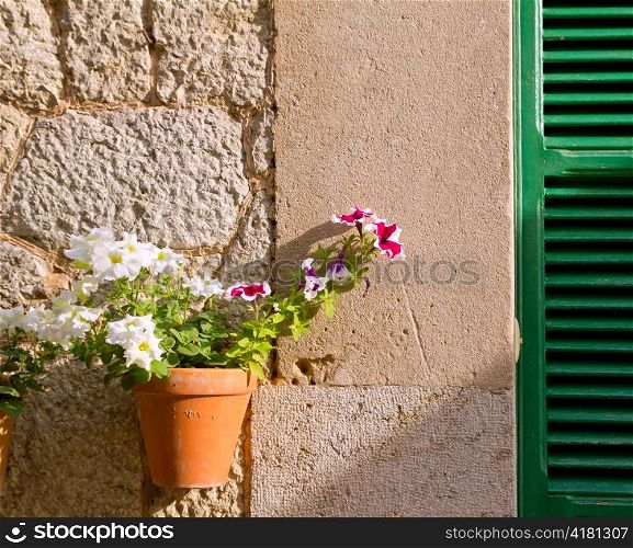 Plants pots in Valldemossa at Majorca Balearic island of Spain