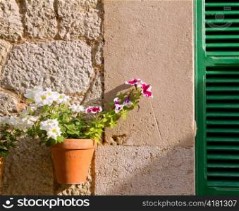 Plants pots in Valldemossa at Majorca Balearic island of Spain