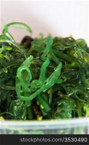 Plastic box of wakame seaweed salad on white background