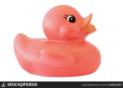 Plastic duck a over white background