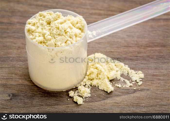 plastic measuring scoop of whey protein powder against grained wood background