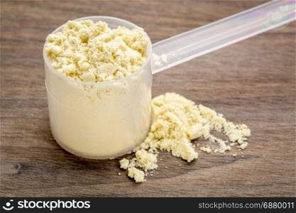 plastic measuring scoop of whey protein powder against grained wood background