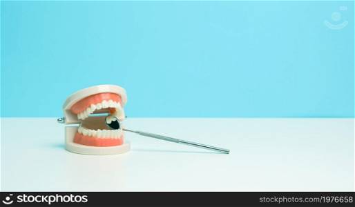 plastic model of human jaw with white even teeth and a medical examination mirror on a white table, copy space