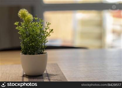 Plastic Plants On The Table, Advertising background and wallpaper to decorate the dining table and living room. Actual images in decorating ideas