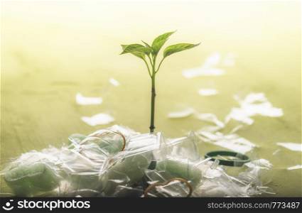 Plastic pollution concept with a young green herb growing from a pile of plastic waste, on a green background. Waste recycling management concept.