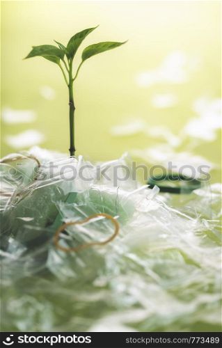 Plastic pollution problem concept with a young green weed growing from a pile of plastic trash, on a green background. Recycling waste concept.