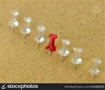 plastic thumbtack on cork board