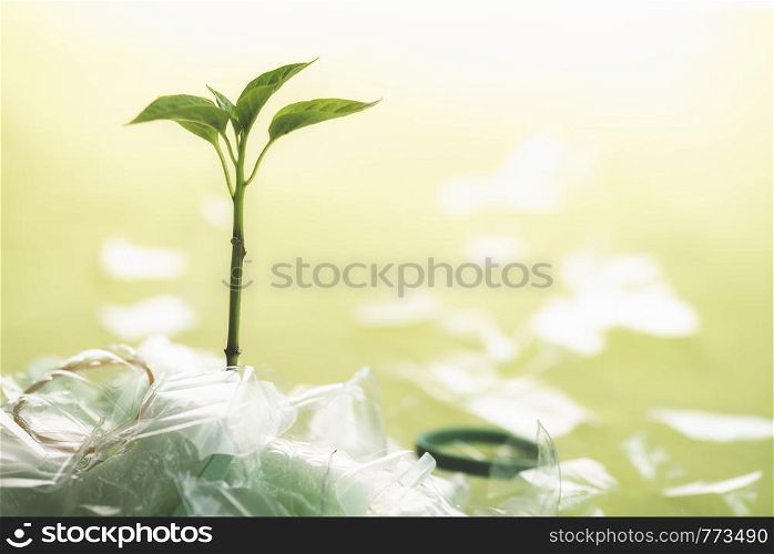 Plastic waste and the environment concept with a green plant growing from a pile of plastic garbage, on a green background. Recycling plastic concept.