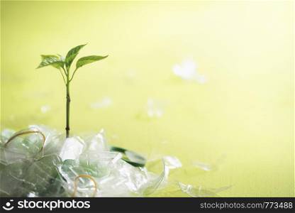 Plastic waste disposal concept with a green herb rising from a pile of plastic garbage on a green background. Recycling plastic waste.