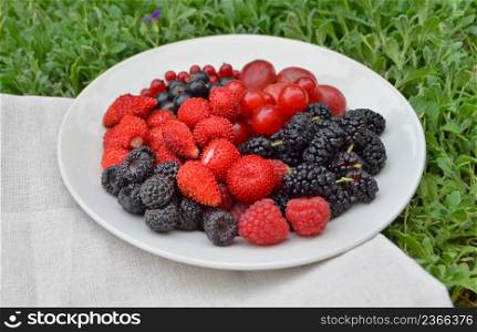 Plate of assortment raspberry, strawberry, blackberry, mulberry on the grass. Mixed berry fruits. Plate of assortment berries