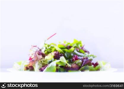 Plate of Brightly Lit Lettuce