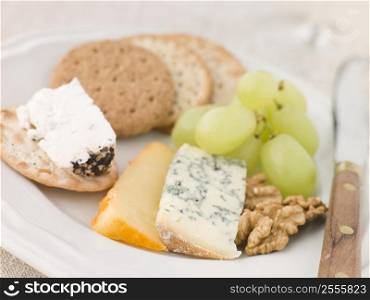 Plate of Cheese and Biscuits